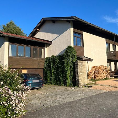 Haus Im Gruenen Apartamento Saalfelden Exterior foto